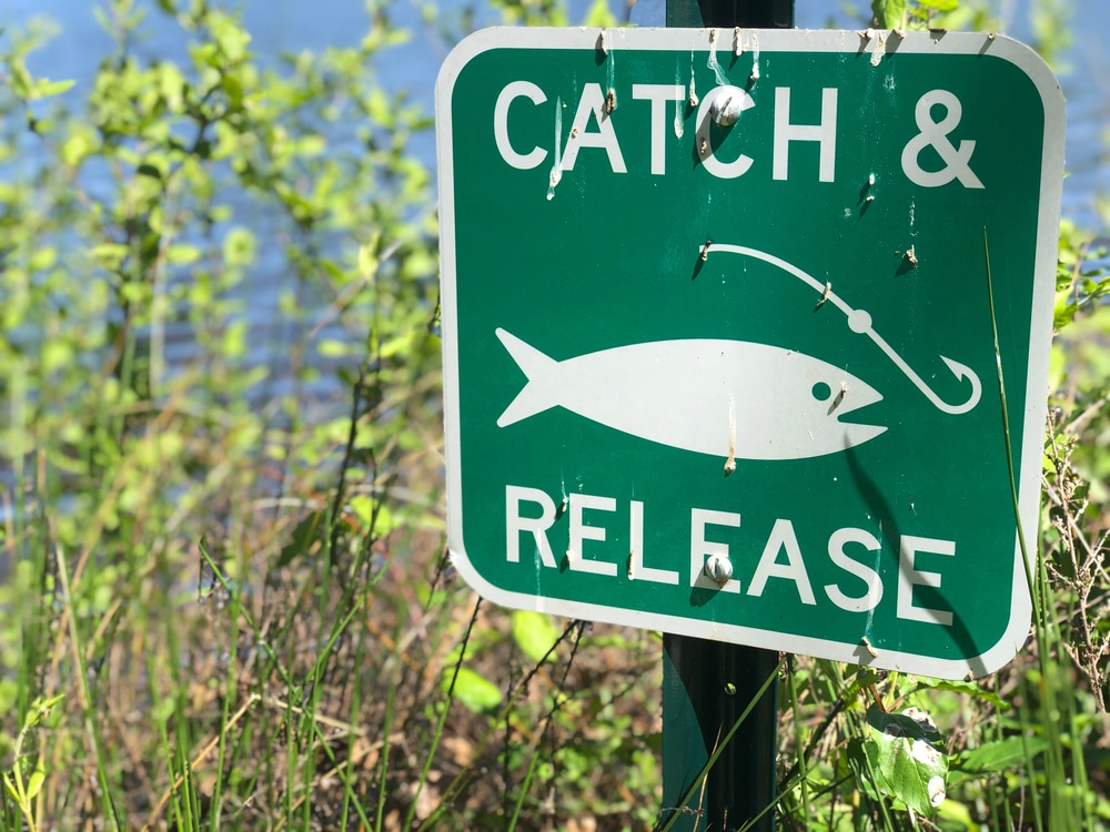 Catch and Release Fishing in Florida: What Species Can You Keep? 2 Catch and Release Sign