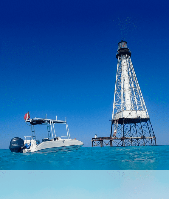 Eco Tours in Islamorada Eco Tours in Islamorada