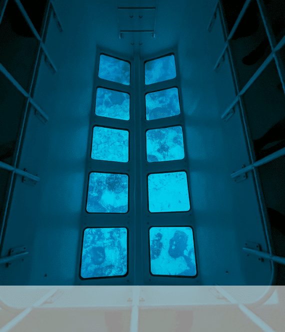 Glass Bottom Boat Tours in Islamorada Glass Bottom Boat Tours in Islamorada