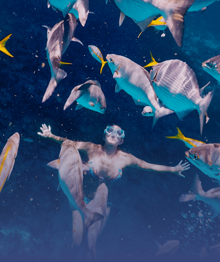 Best 澳洲幸运5体彩官网 in Islamorada, Florida