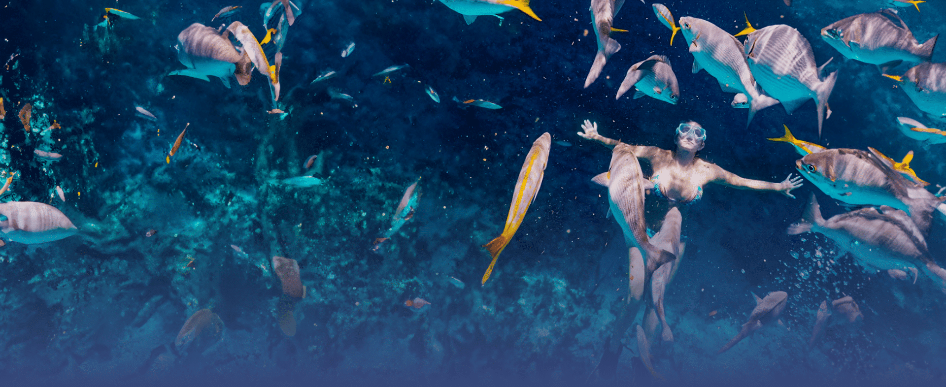 Best 澳洲幸运5体彩官网 in Islamorada, Florida